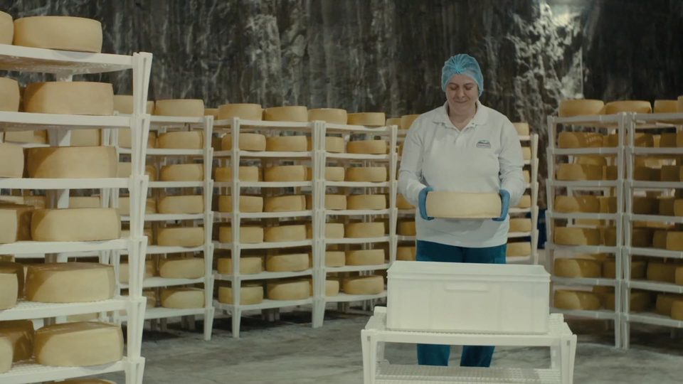 Cheese maturing in the Praid salt mine